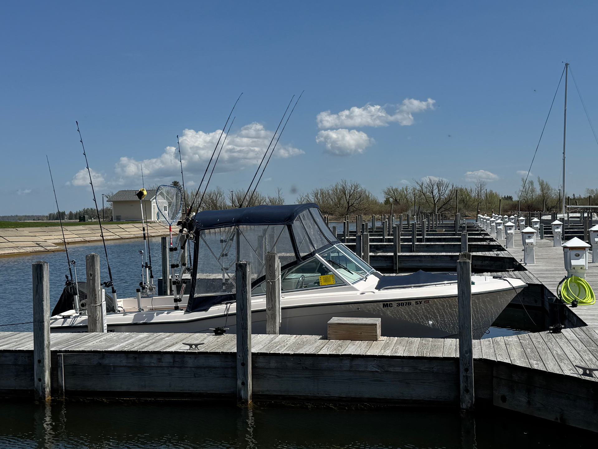 Reel Mafia rigged with rods at the marina